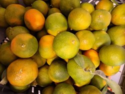 קלמנטינה אור 1 ק"ג