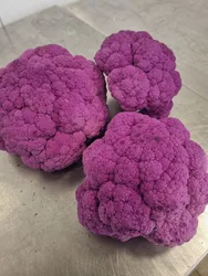 כרובית אדומה - יחידה