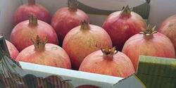 רימון- כתר הבריאות-1 ק"ג